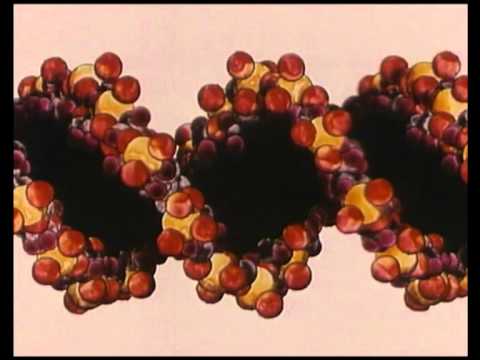 Abenteuer genetischer Code