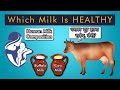 Which Milk Is Healthy Difference Between Human Milk Cow Milk Buffalo Milk