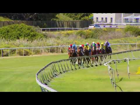 KINGDOM OF HEAVEN - RACE 4 #HollywoodBetsKenilworth 12-11-2022