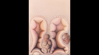 George Hendrik Breitner: Meisje in kimono