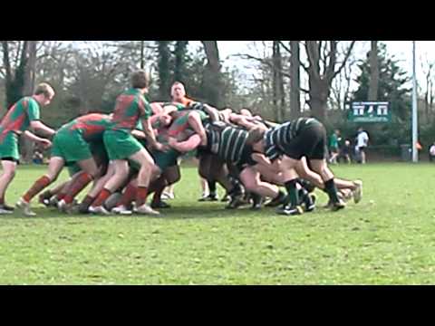 rugby pickwick players versus wales