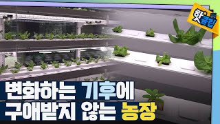 [핫클립] 신개념 조립형 수직농장 / YTN 사이언스