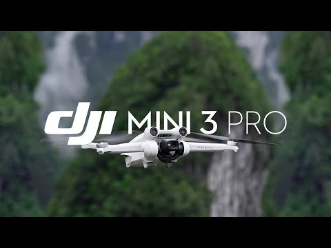 Dji mini 3 pro w/ dji rc (rc with screen) with flymore kit p...