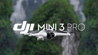 Квадрокоптер DJI Mini 3 Pro (DJI RC)