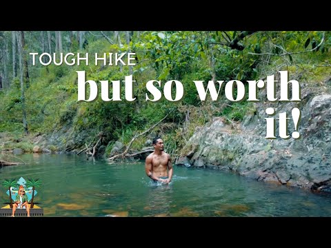 Overnight hike in the Australian bush | Mount Barney