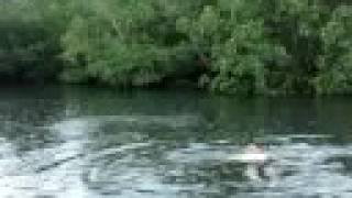 preview picture of video 'Ubayon Rainforest Splash  - Bohol, Philippines'