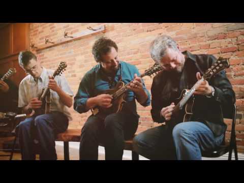 Marshall Mandolin Summit