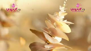 Video produs