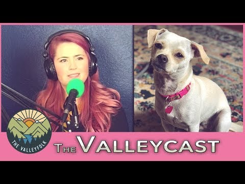 How Lee Saved Her Dog From Meth Addicts | The Valleycast, Ep. 23 (Highlights) Video