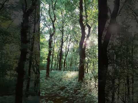 In the Summer time 🤗🤗🤗🤗