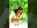 Midnight Masala Video Status Midnight All Video Status Whatsapp Status 4k Status
