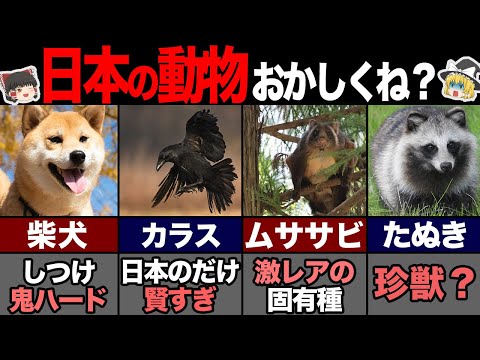 日本の動物たち~その特徴と写真~