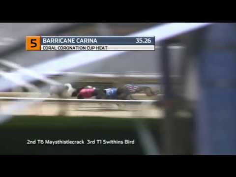 CORAL CORONATION CUP - HEAT 4 - T5 - BARRICANE CARINA