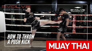 How To Throw A Muay Thai Push Kick