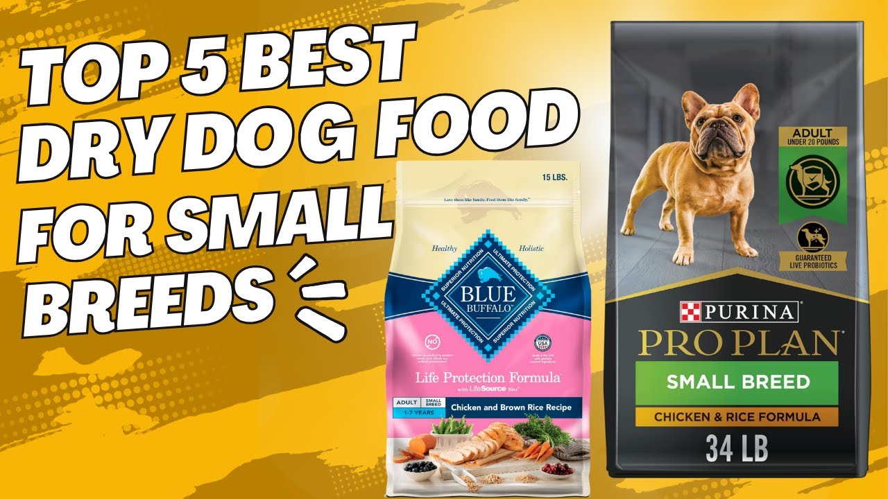 Top 5 Best Dry Dog Food for Small Breeds🐶🥩