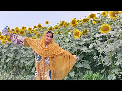 Beautiful Flowers in Pakistan | Saudi Arabia me b kia yeh Sab kuch hai,