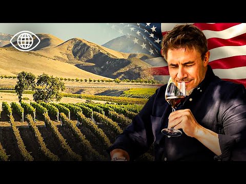 On the California wine route, between pioneers and terroirs – Documentary