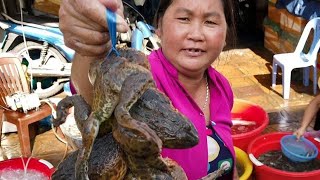 The Vietnam Frog Lady