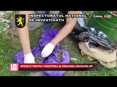 Unitatea de gardă - 2 septembrie 2019