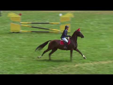 Mladší junioři parkur - Kompletní video záznamy z MČR ve všestrannosti 2018