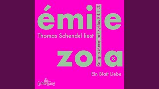 Kapitel 10 - Rougon-Macquard Zyklus, Band 8