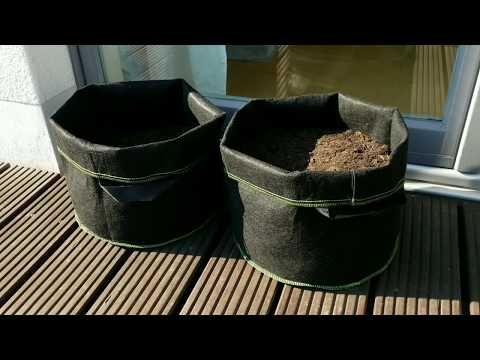 Ein Sonntag im grünen Bereich