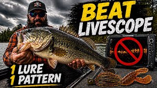How to Beat LiveScope in Bass Tournaments (1 Lure, 1 Pattern)