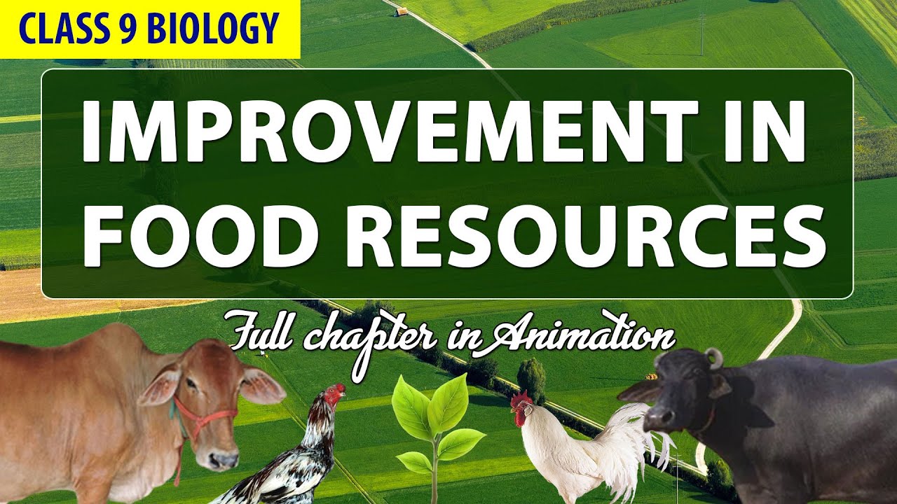Improvement in Food Resources  Class 9 Full Chapter in One-Shot | CBSE CH12  NCERT