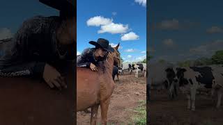 Rapaz bora apartar o boi do homi #dianaroça #vidanaroça