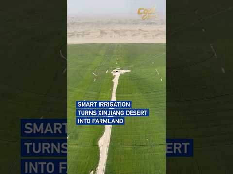 Smart irrigation turns Xinjiang desert into farmland