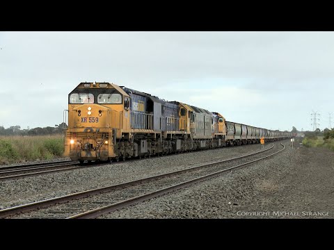 7732V Grain Train With XR559, X50, G520 & X48 (24/10/2021) - PoathTV Australian Trains & Railways