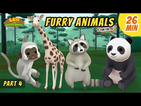 Furry Animals (Part 4/5) - Exciting & Educative Animals Stories for Kids | Leo the Wildlife Ranger