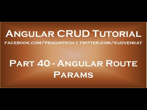 Angular route params