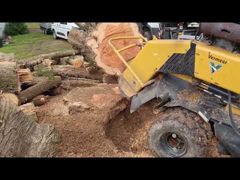 Camion grue et rogneuse de souche