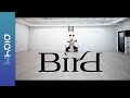 Namjoo - Bird (Choreography Practice Version)