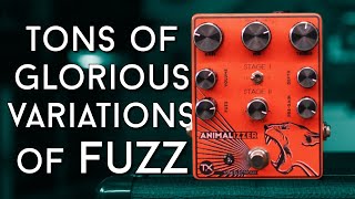 Video thumbnail for Almost too much fuzz! TX Pedals Animalizer Review by EytschPi42