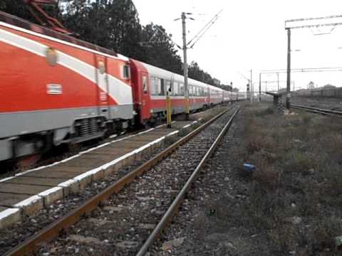 A1575 SOSESTE IN BRAILA CU DELFIN 880