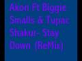 Akon Ft Biggie & Tupac- Stay Down (Remix) 