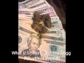 Tha Dogg Pound/Kokane/E 40 - What U Smokin On