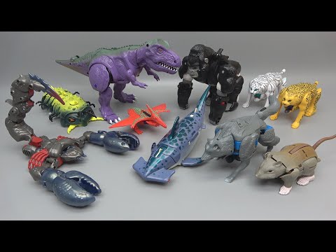 [TRANSFORMERS]Vintage  BEAST WARS TRANSFORMATION