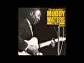 Muddy Waters, Deep down in my heart - Edith de Ronde Muddy Waters, Deep down in my heart