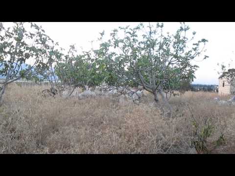 استهداف مقرات النظام في حاجز المياه في جسر الشغور بواسطة صواريخ محلية الصنع ضمن مجريات معركة التوحيد والإخلاص