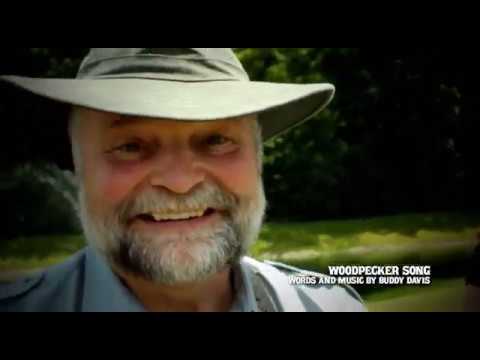 Woodpecker Song Motions and Lyrics