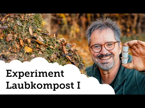 Experiment | Laubkompost mit Kaffeekapseln