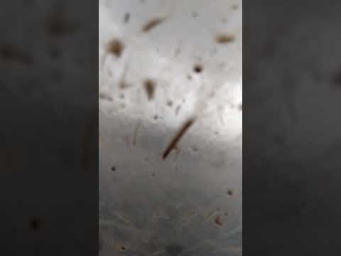 Got hit by a Tornado in Lockney, TX 3/13/21