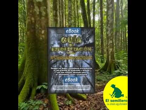 Expert Reforestation: Tree Production Ebook Guide