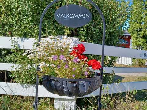 #bjökö #björkörnscamping   Björkö Örns Camping                                     i Gräddö ⚓🛥⛵🚤⛱🏕🏡🚌