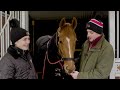 Horse Racing Exclusive | Trainer Harry Derham Picks His Horse To Watch