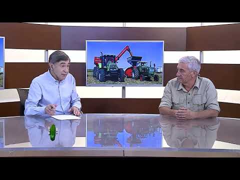 Agenda Ganadera - Dr. Mario Cúccolo - 26-1-26