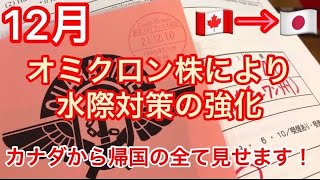 【日本帰国】カナダ出国から日本入国の全て